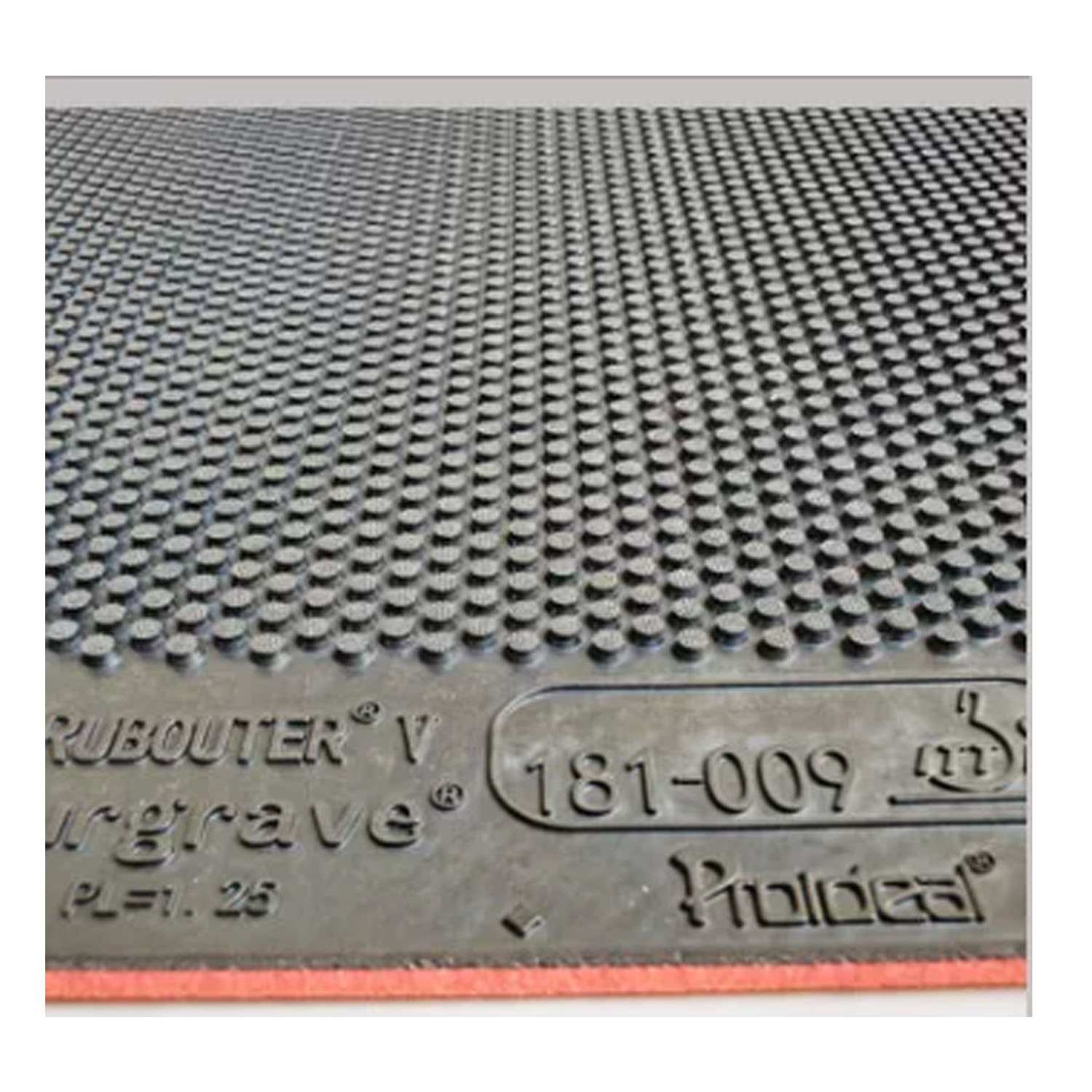 Proideal RUBOUTER V Grade D Ro – Table Tennis Pro Bewertung und Preis