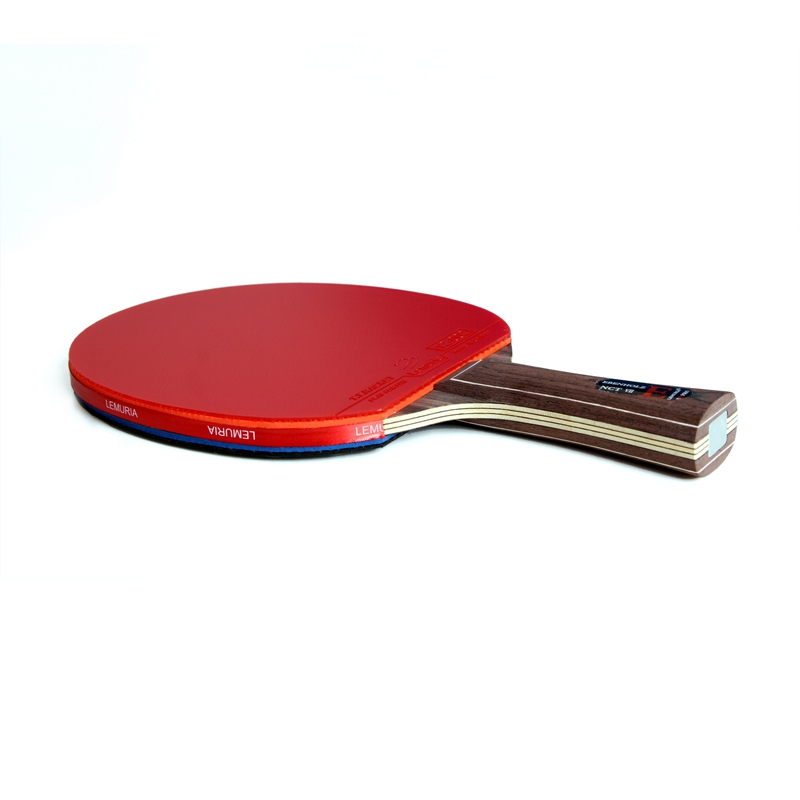 Lemuria EBENHOLZ-Tischtennissc – Table Tennis Review Bewertung und Preis