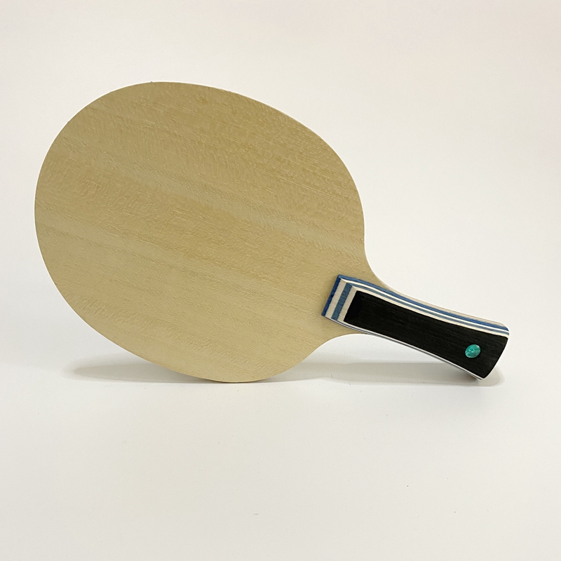 Lemuria VIS Carbonfaser Tischt – Table Tennis Review Bewertung und Preis