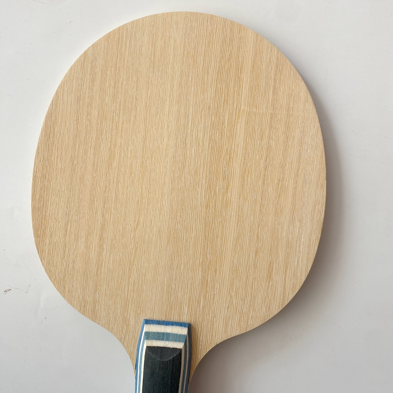 Lemuria VIS Carbonfaser Tischt – Table Tennis Review Bewertung und Preis