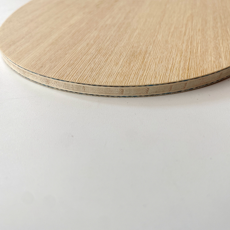 Lemuria VIS Carbonfaser Tischt – Table Tennis Review Bewertung und Preis